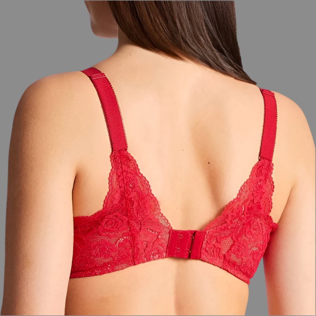 Aubade - Rosessence Triangle Plunge Bra - More Colors - About the Bra